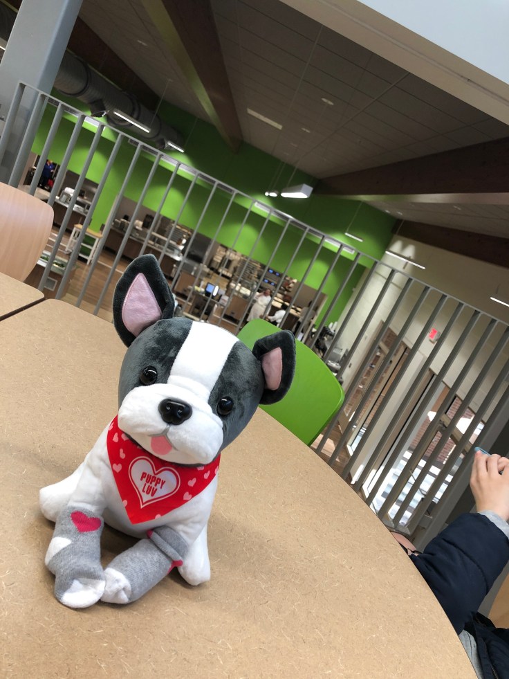 57054827920__e0ba5986-fa04-4322-ab62-9db68c66d94d