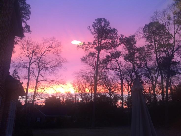 94ae1edf-a466-4f87-8385-86071ab763b7